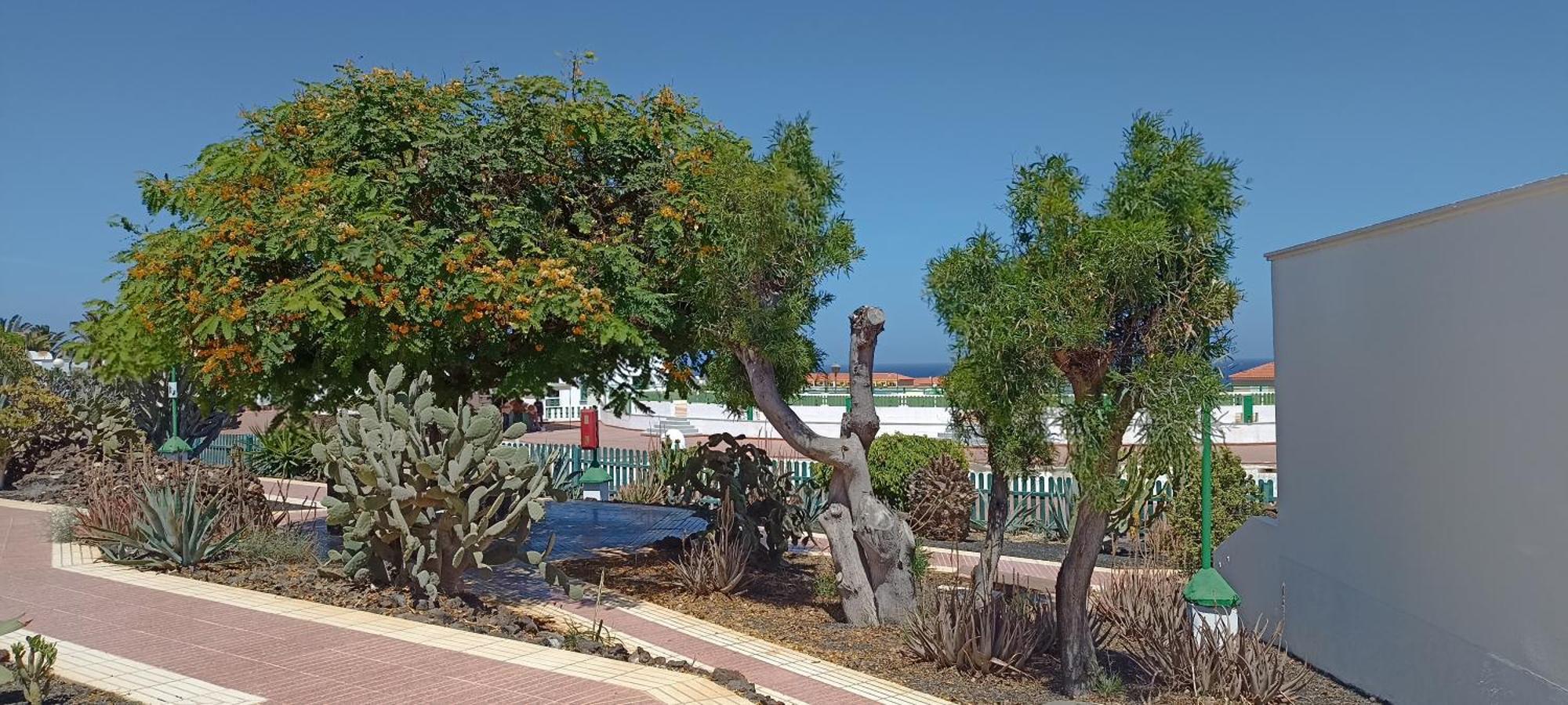 Casa Gioeli Cocosol Villa Costa De Antigua Buitenkant foto